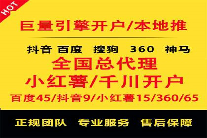 竞价推广公司经典案例：打造行业领先的广告投放效果